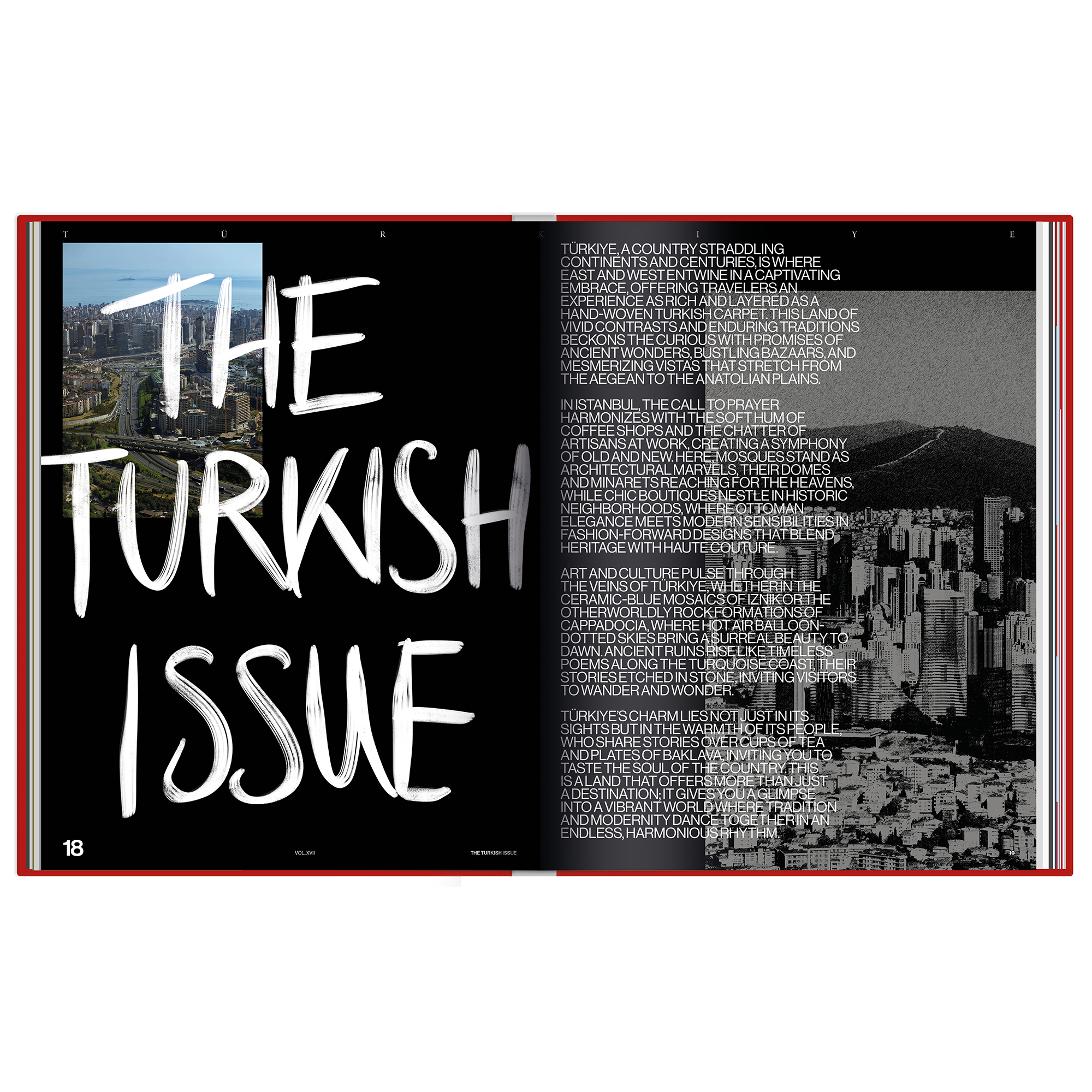 The Turkish Issue