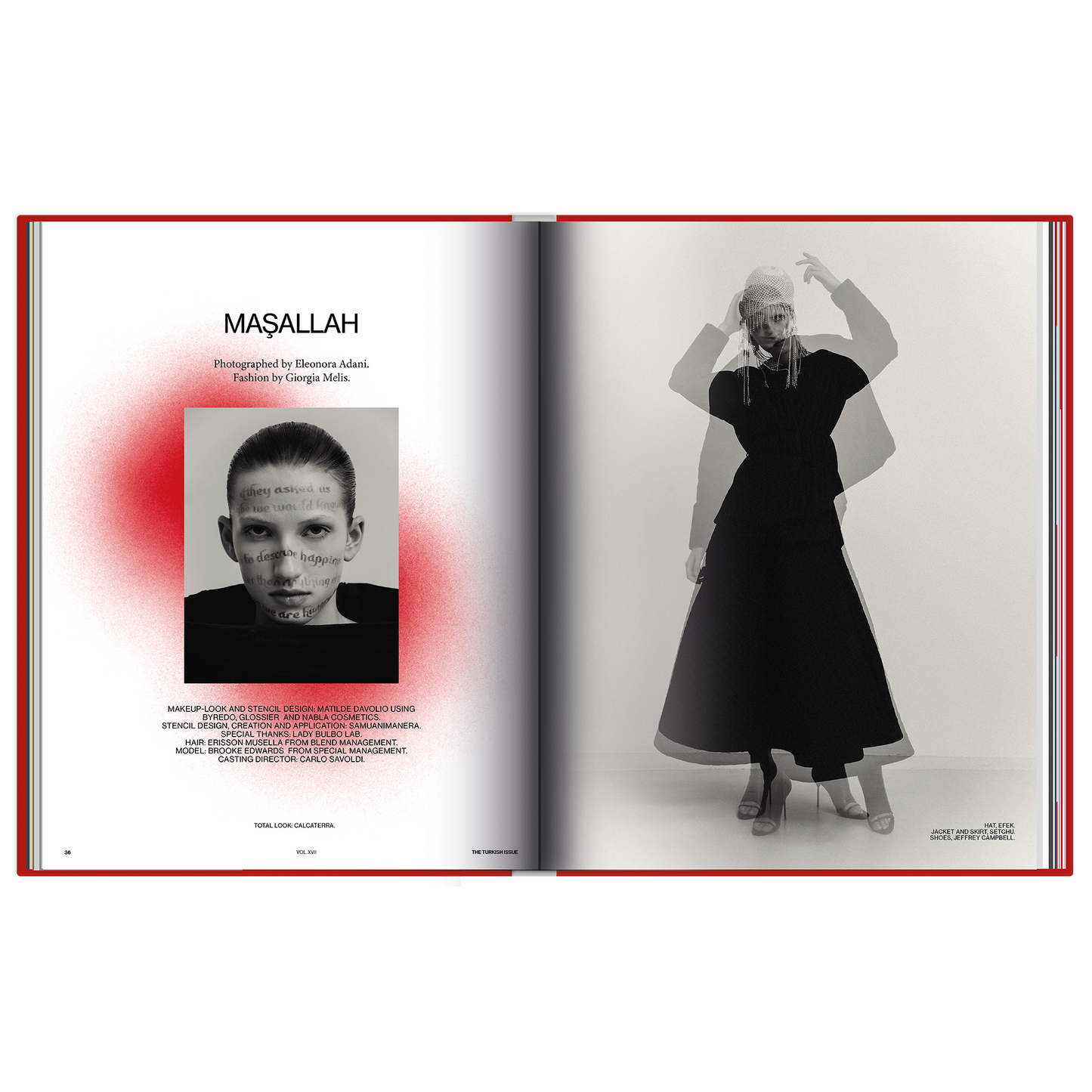 The Turkish Issue