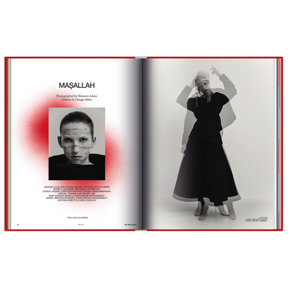 The Turkish Issue