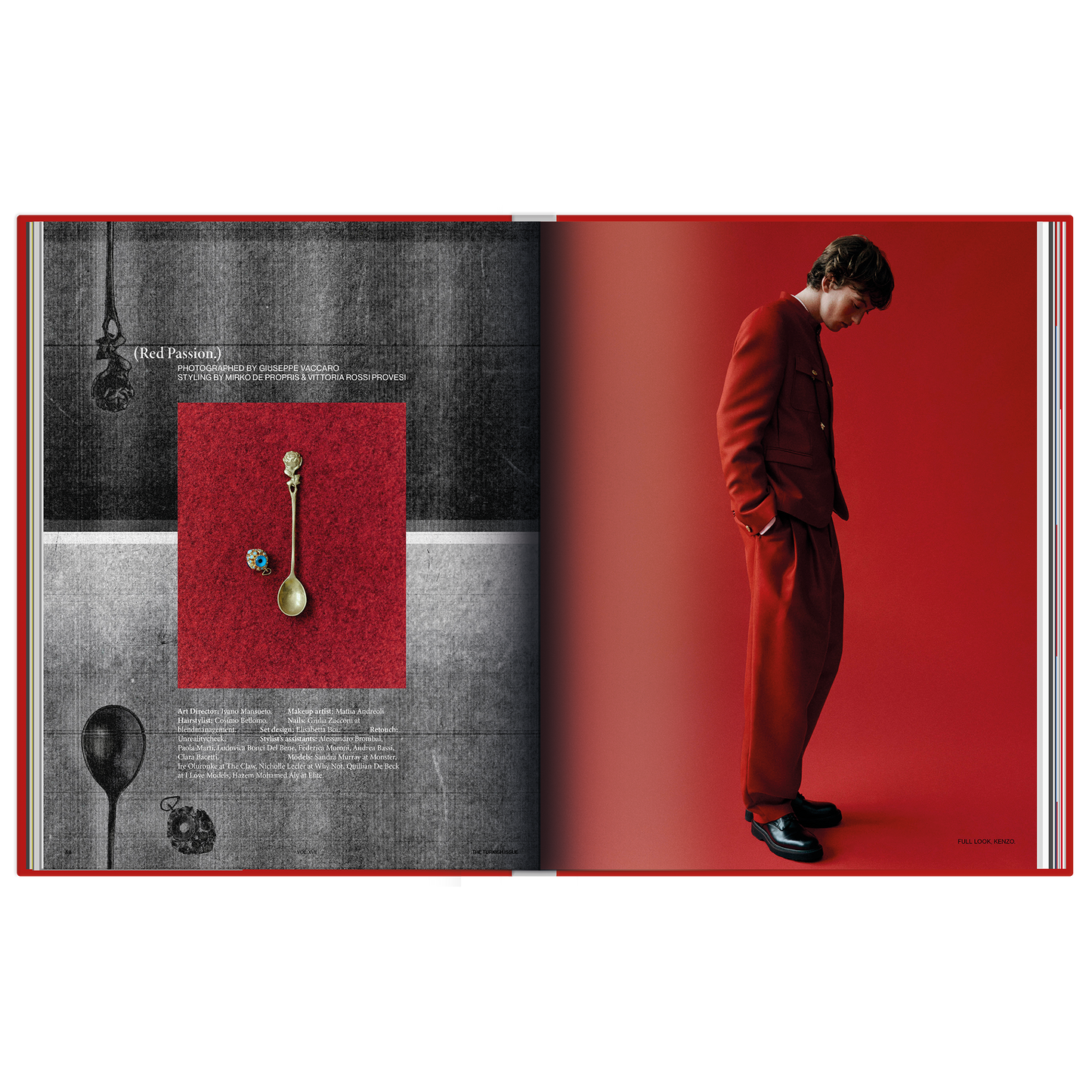 The Turkish Issue