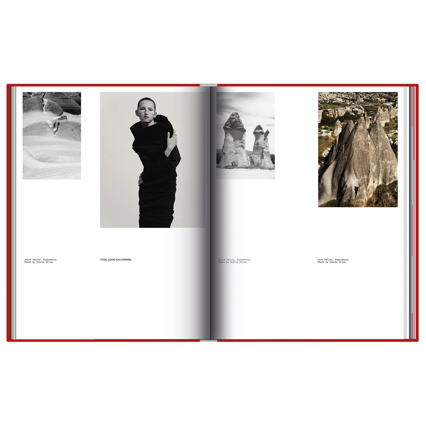 The Turkish Issue