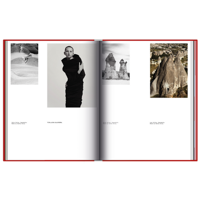 The Turkish Issue