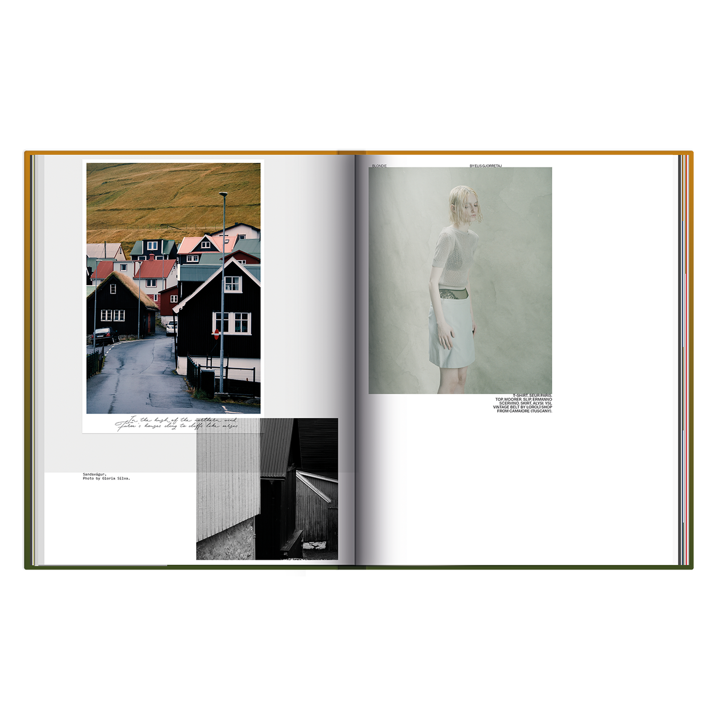 The Faroese Issue