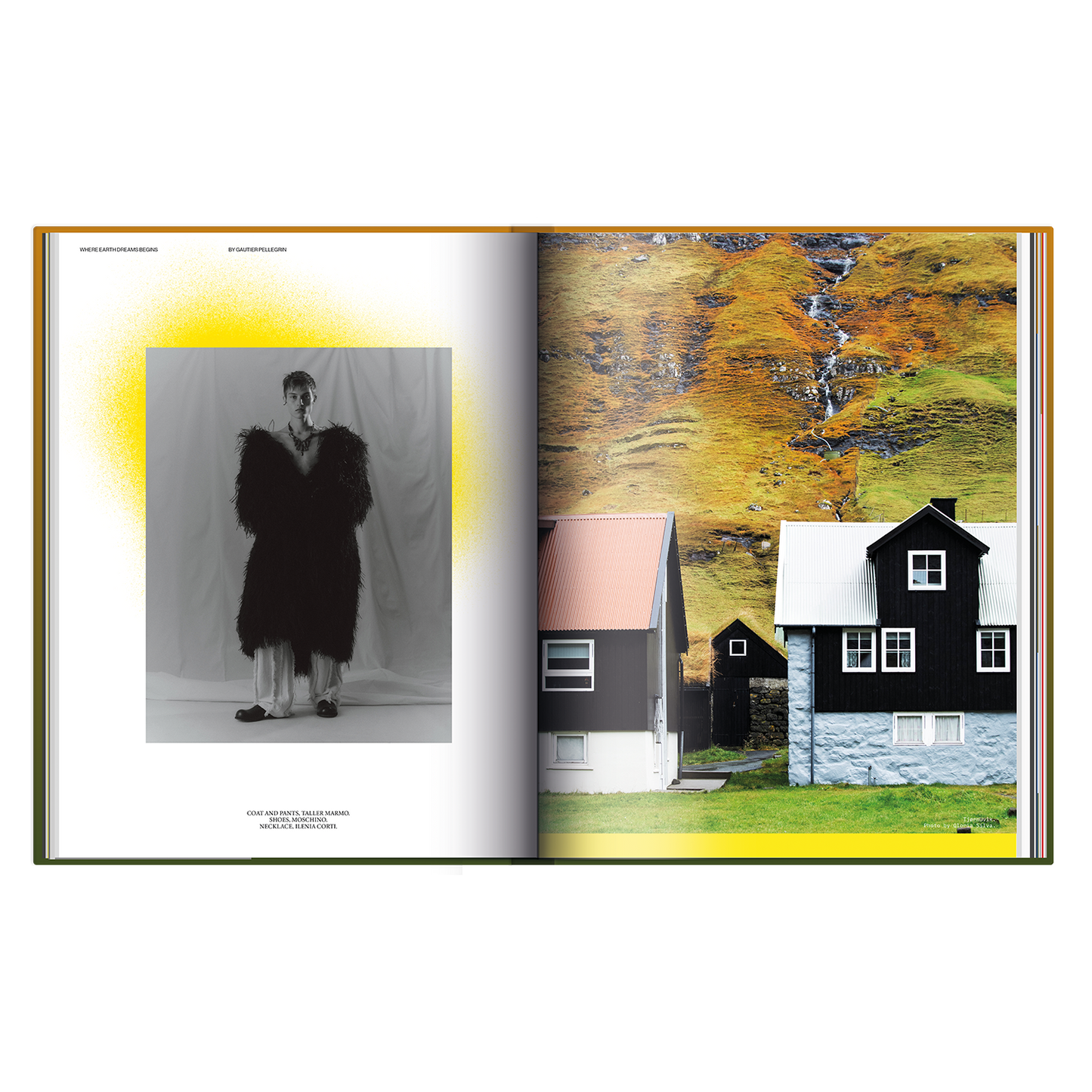 The Faroese Issue