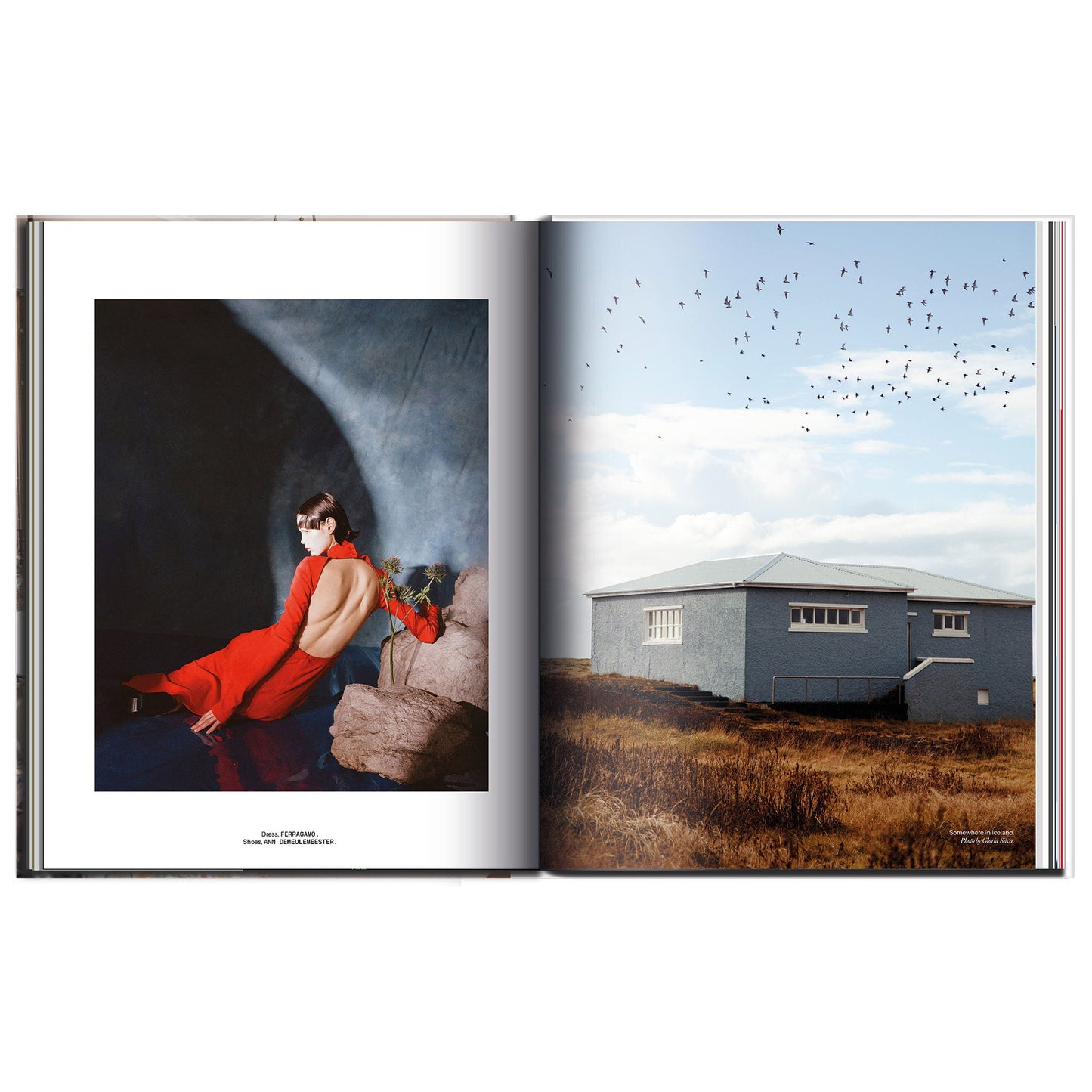 The Icelandic Issue