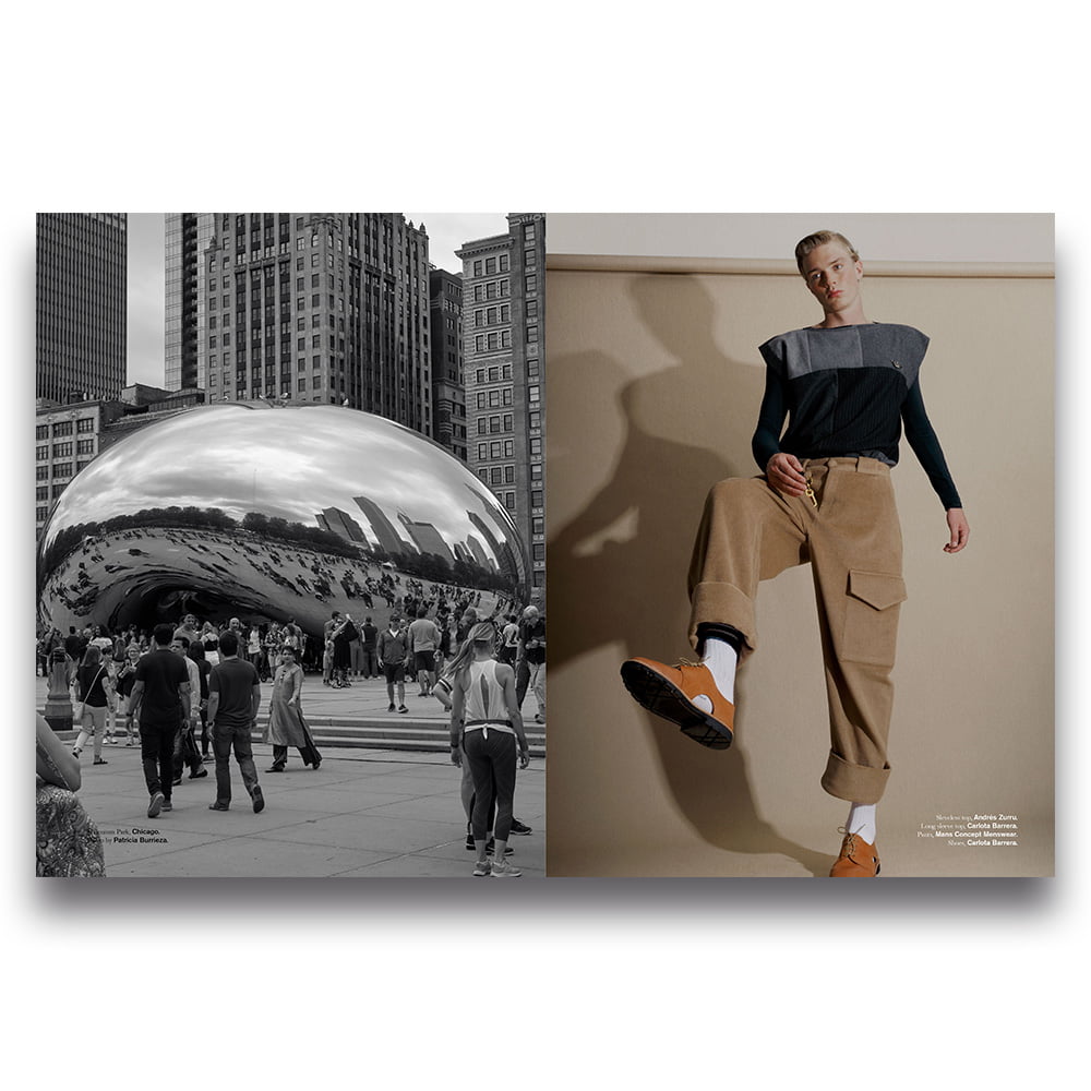The Chicagoan Issue