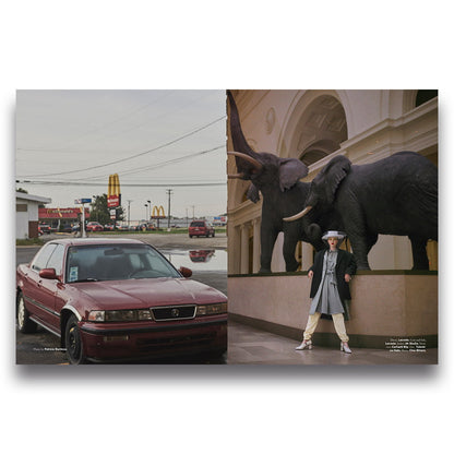 The Chicagoan Issue