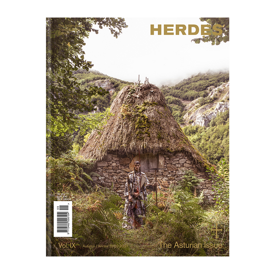 The Asturian Issue